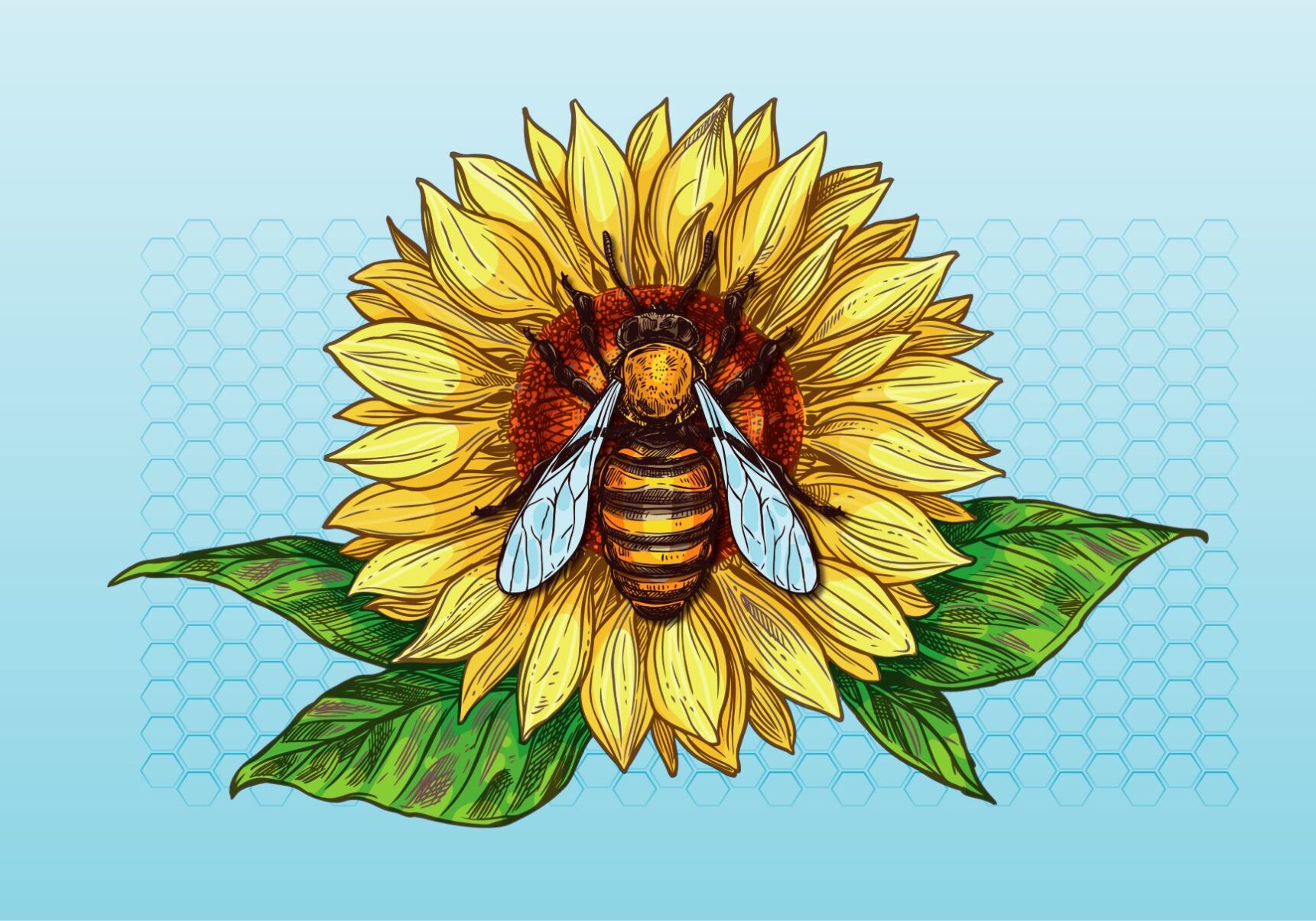 Sunflower festival
